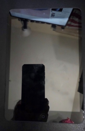 Apple ipad mini - apple, 1st